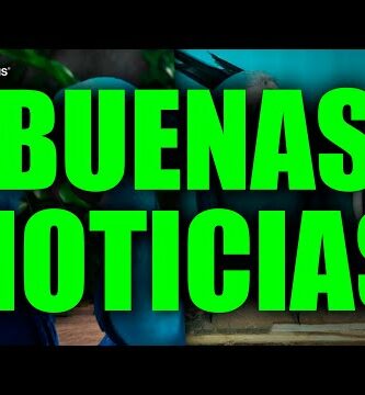 Guacamayos azules extintos en 2021: una triste realidad