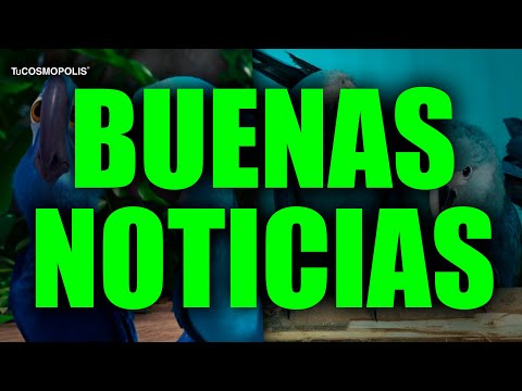 Guacamayos azules: ¿Están extintos? Descubre la verdad aquí