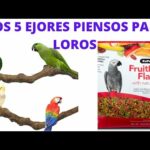 Pienso Zupreem Guacamayos: Nutrición especializada para tus aves