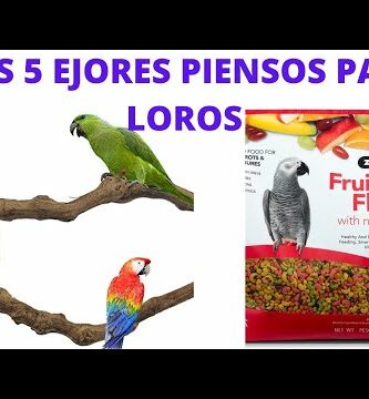 Pienso Zupreem Guacamayos: Nutrición especializada para tus aves