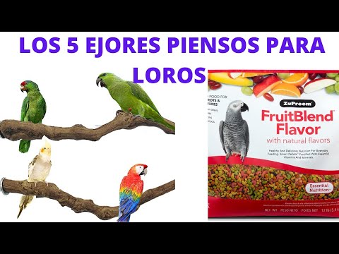 Pienso Zupreem Guacamayos: Nutrición especializada para tus aves