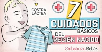 Cuidados para guacamayo recién nacido: consejos y recomendaciones