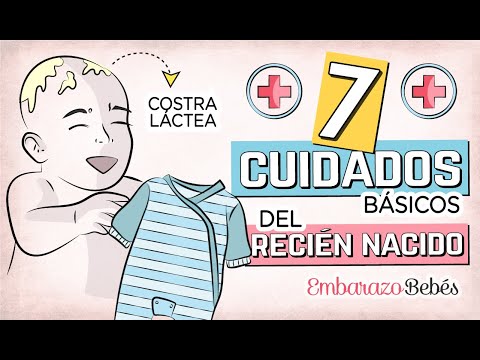 Cuidados para guacamayo recién nacido: consejos y recomendaciones