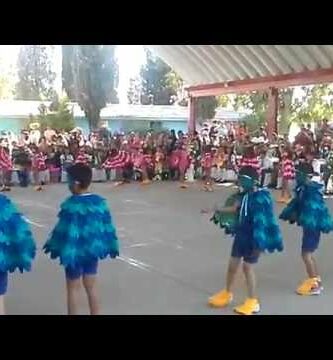 Danza de los guacamayos: ritmo y color en movimiento