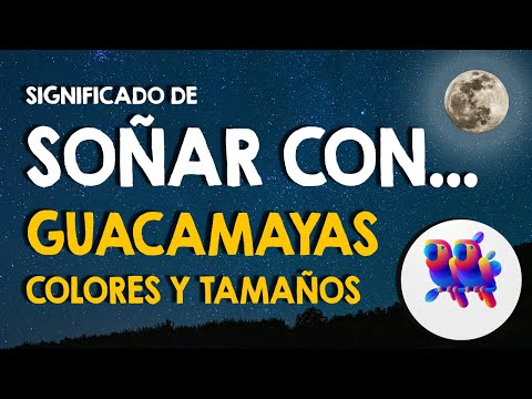 Soñar con guacamayos: Significado y mensajes del mundo espiritual