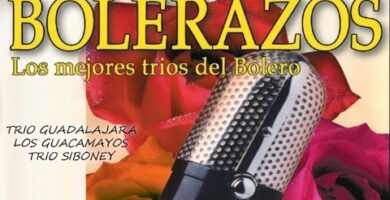 Descubre los guacamayos boleros: colores vibrantes y melodías cautivadoras