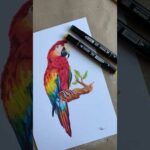 Guacamayos dibujos: Arte colorido y expresivo de estas hermosas aves