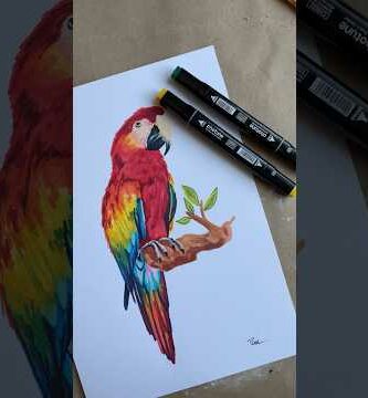 Guacamayos dibujos: Arte colorido y expresivo de estas hermosas aves