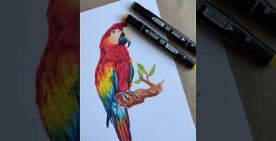 Guacamayos dibujos: Arte colorido y expresivo de estas hermosas aves