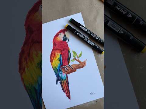 Guacamayos dibujos: Arte colorido y expresivo de estas hermosas aves