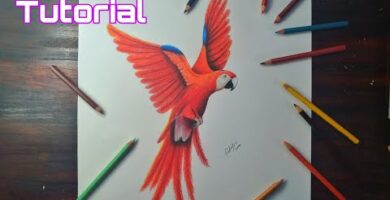 Dibujar guacamayos a color: ¡Descubre cómo dar vida a estos exóticos pájaros!