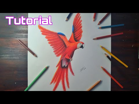 Dibujar guacamayos a color: ¡Descubre cómo dar vida a estos exóticos pájaros!